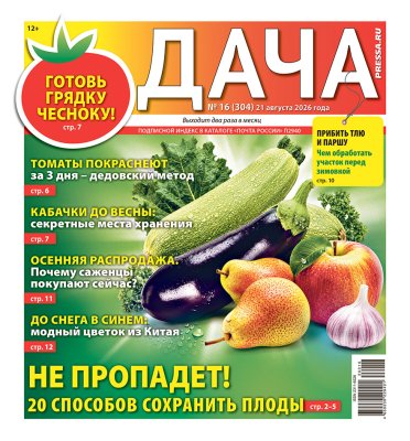 Газета ДАЧА