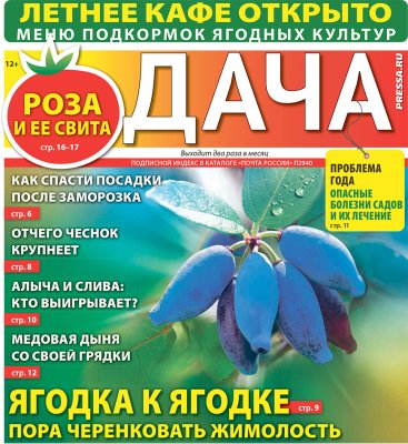 Газета ДАЧА
