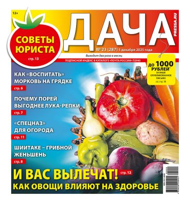 Газета ДАЧА