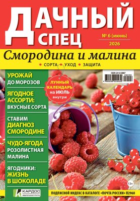 Дачный спец
