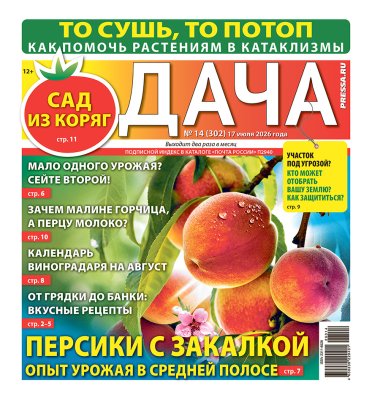 Газета ДАЧА