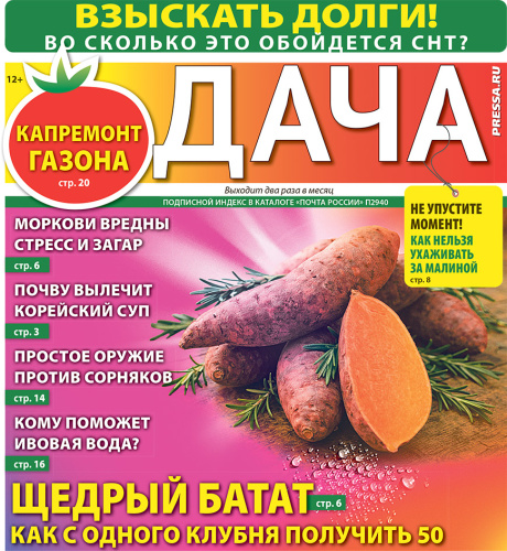 Газета ДАЧА