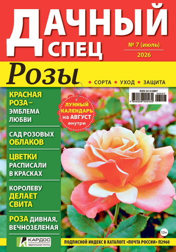 Дачный спец